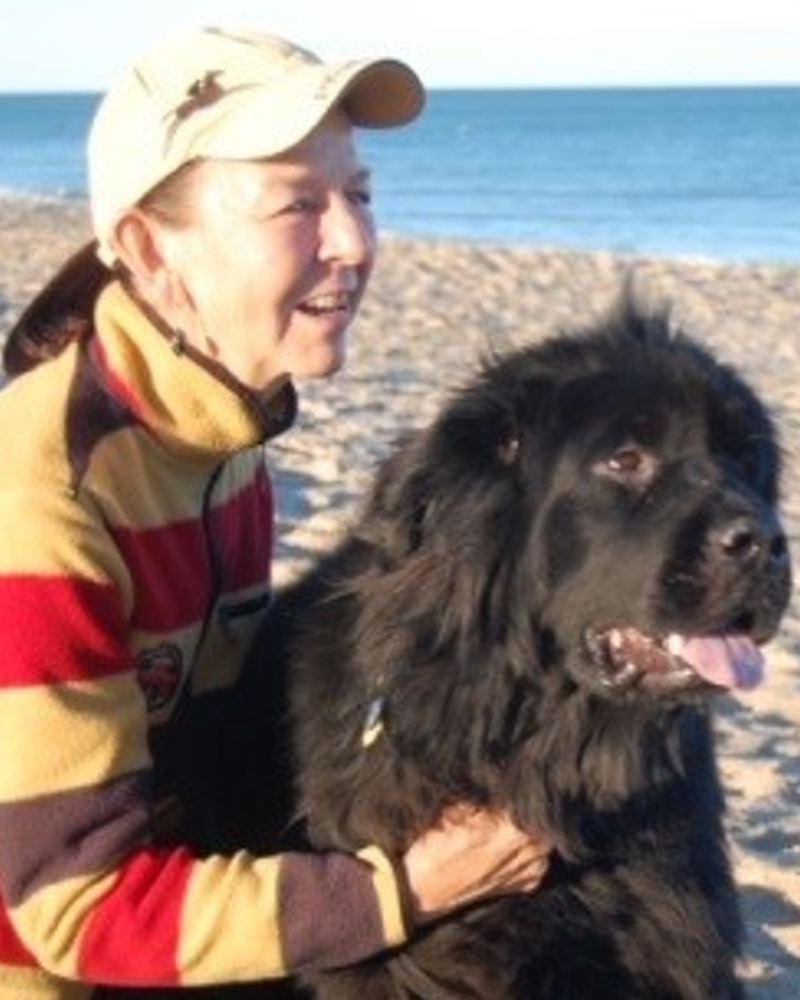 Sarah Buikema profile picture