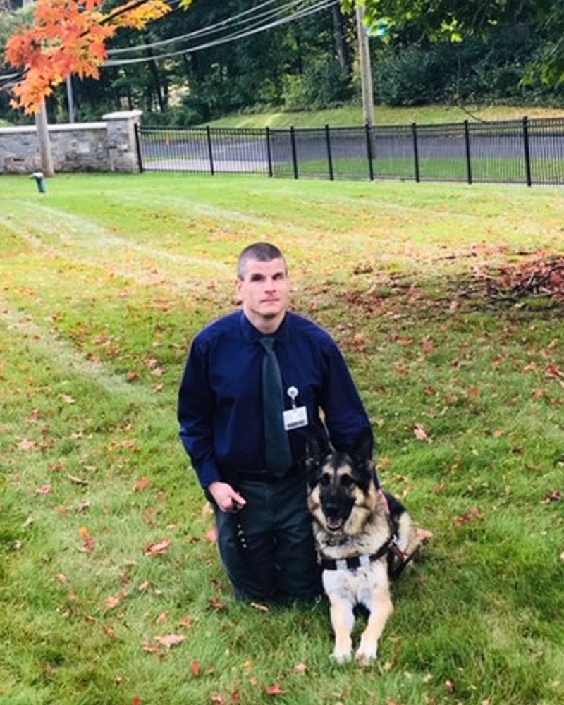 Steve Famiglietti profile picture