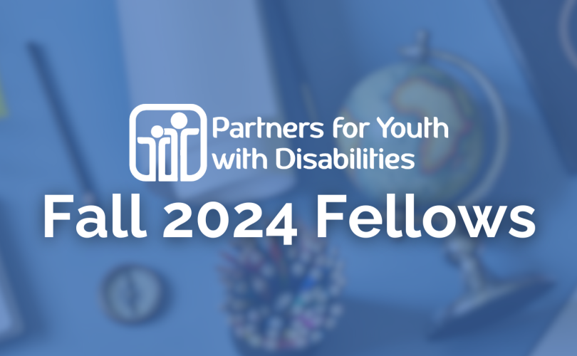 PYD Logo. Text reads: "Fall 2024 Fellows"